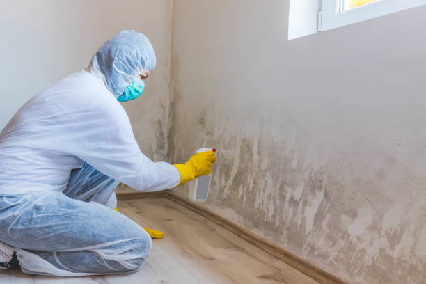 Mold Remediation specialist working in Fort Loudon